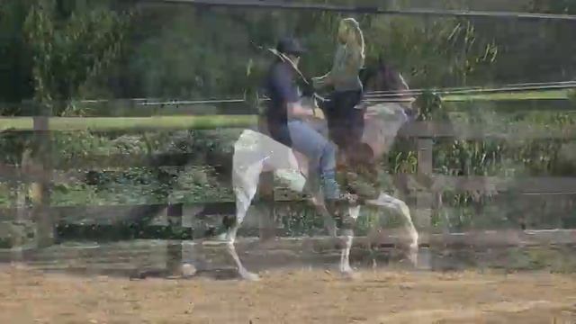 Apache Warsong смотреть онлайн