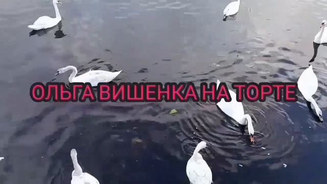 ВСЯ ПРАВДА! ХЛОРКА ПОДОПЫТНЫЙ КРОЛИК! ЮЛЯ СТАР. ОБЗОР.