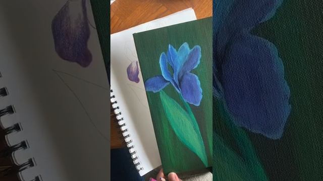 Drawing & Painting Iris Flowers смотреть онлайн