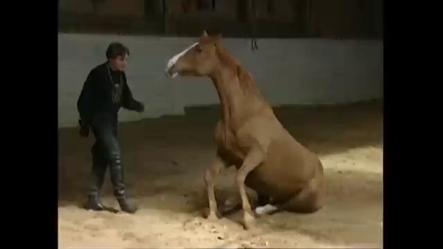 The Path of the Horse - Full Length documentary смотреть онлайн