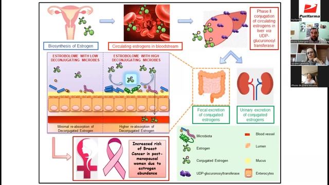 O estroboloma no microbioma смотреть онлайн