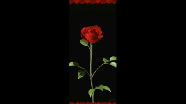 Роза чайная Стихи Игоря Северянина Музыка и исполнение Владимир Черняев смотреть онлайн