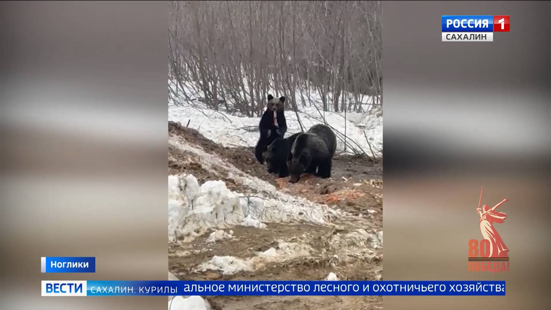 "Вести. Сахалин. Курилы". 21 апреля 2025 года смотреть онлайн