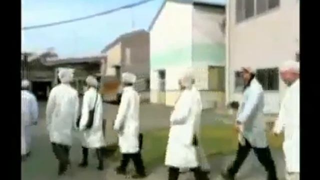 Питание Изумрудные ростки Ячменный коктейль смотреть онлайн