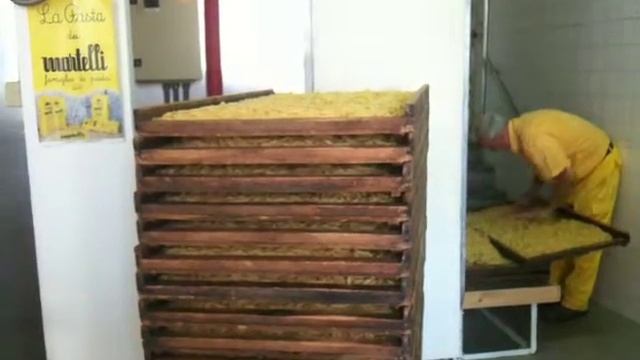 City Snap: Lari III смотреть онлайн