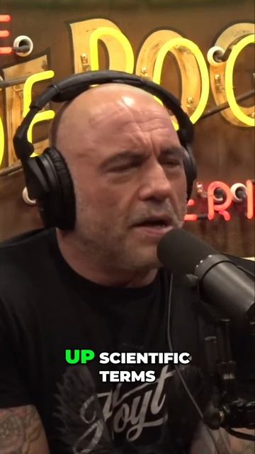 Unlocking the Secrets of Barracuda The Science Behind their Speed смотреть онлайн