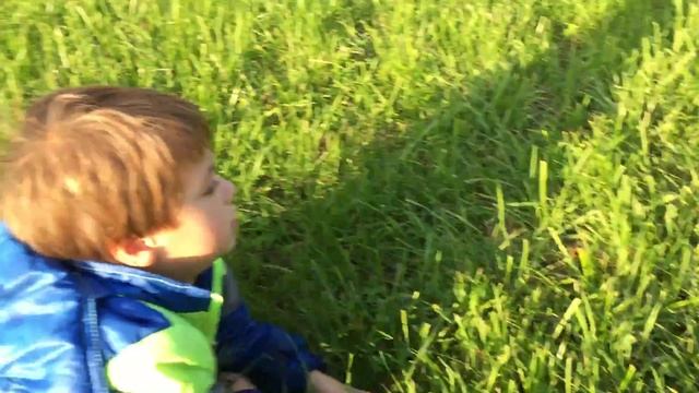 Конец сентября, тепло... Полёживаем на траве, в меру... Гатчинский парк. 25.09.2017, 17:01 смотреть онлайн