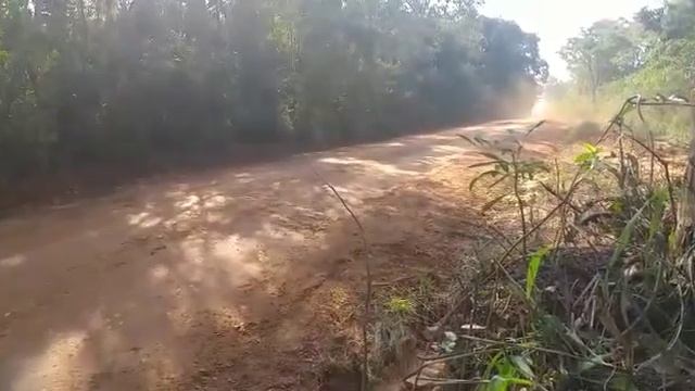 Petrobras Rally de Acosta Ñu 2019 - Diego Domínguez Jr - Rogelio Peñate - Peugeot 208 R2 смотреть онлайн