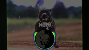 Мэвл- Улетаем вдаль