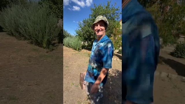 Продолжение в Телеграм. Ссылка в описании / #рек #топ #shortsvideo #россия #тренды #рекомендации смотреть онлайн