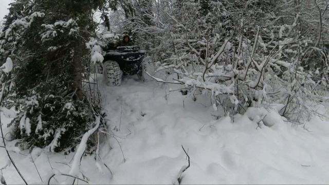 Ищем Староверов смотреть онлайн