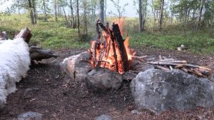Горение костра в лесу 4к
