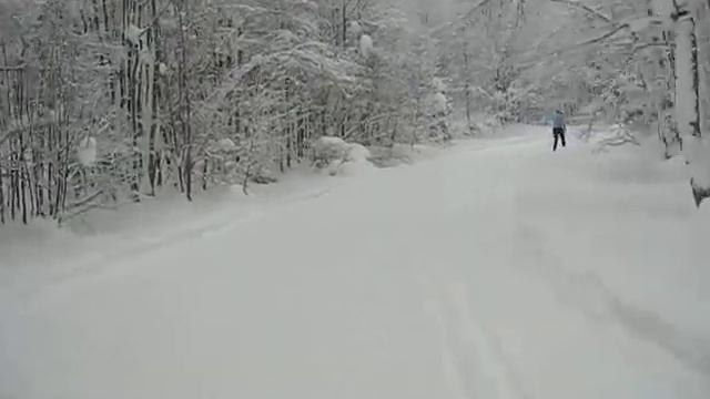Лыжня Кавголово. смотреть онлайн