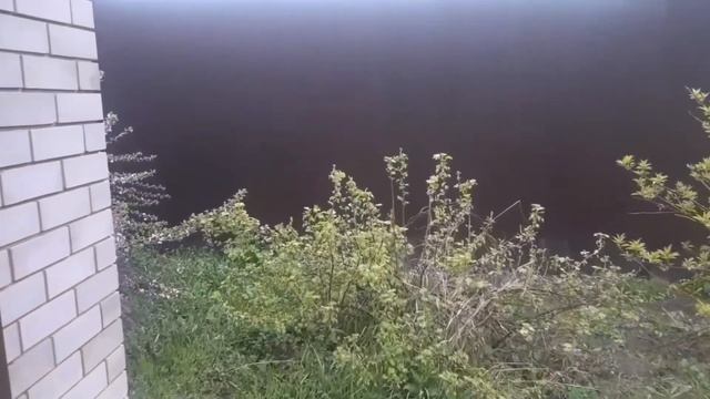 +3😱 Помидоры в шалаше,огурцы в земле./Пробую жёлтую редиску.Жизнь простых людей в деревне.🏕#влог смотреть онлайн