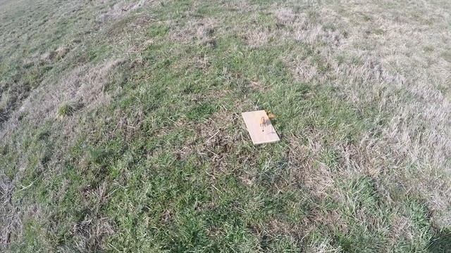 MicroHeli mCPX BL2 Tri Blade Maiden Flight And Durability Test ￼ смотреть онлайн