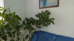 Отдых в санатории _Лазурный