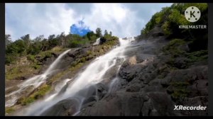Мы родились в Сибири//покупочки//обзор канала