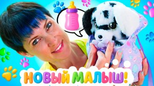 Малыш далматинец хочет кушать! Весёлые приключения с Машей Капуки Кануки