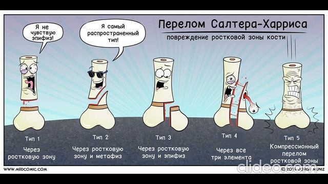 Линии Харриса смотреть онлайн