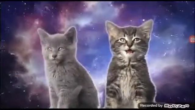 Илья Бабаев песня группа магические кошки