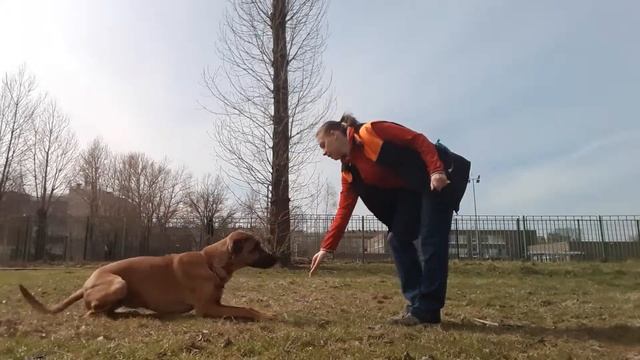 Комплекс на расстоянии смотреть онлайн