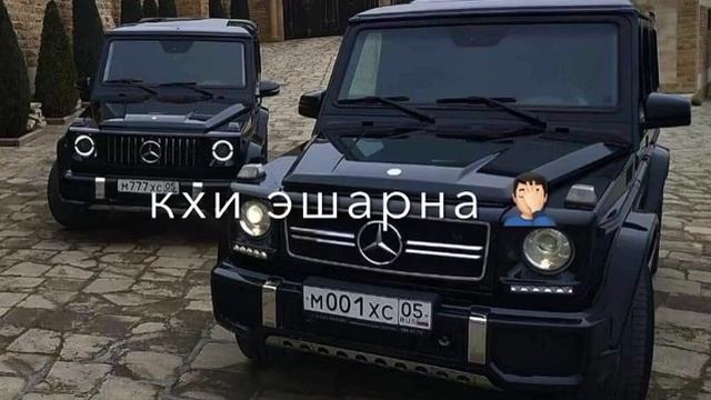 Хан шо зама д!а ма ели😻Казбек Эльмурзаев 😻🤤