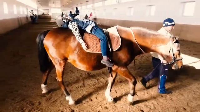 Лошади смотреть онлайн