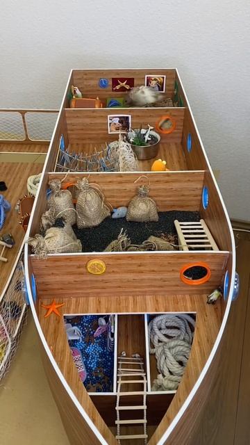 #хомяки #домашниеживотные #видеосхомяками #хомячки #hamster #hamsters #милыеживотные смотреть онлайн