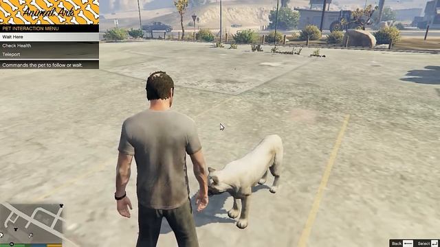 GTA V PC MOD: PETSHOP - ANIMAIS INUSITADOS DE ESTIMAÇÃO смотреть онлайн