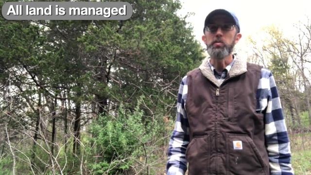 Is Eastern Red Cedar a beneficial native, a problematic invasive, or a useful resource? смотреть онлайн