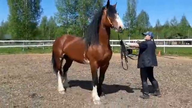 Безупречный 2013(1) смотреть онлайн