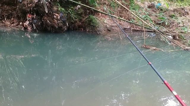 mancing di sungai air jernih...|| nyantai lagi lurr 😀