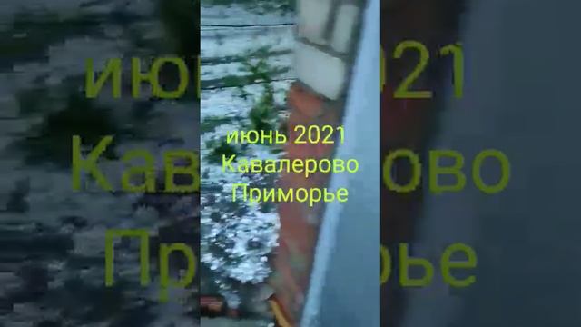 #погода #град #Приморьеморье, Кавалерово, начало июня 2021 года. Град. Все посадки погублены 🌱🌿🍀☘️