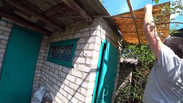 Первые потери мрут как мухи... Наш опыт с перепелами смотреть онлайн