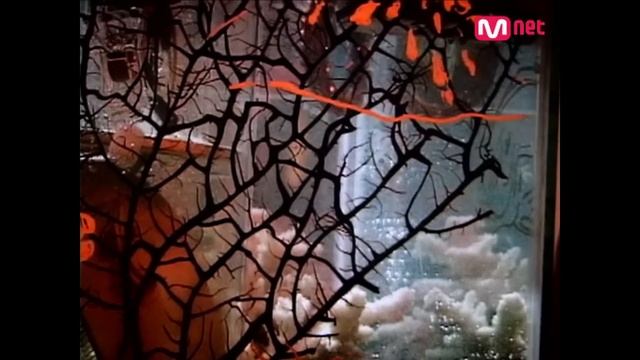 [MV] 코요태 (Koyote) - 실연 (Broken Heart) смотреть онлайн