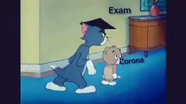 Tom and Jerry sumo rought rite смотреть онлайн