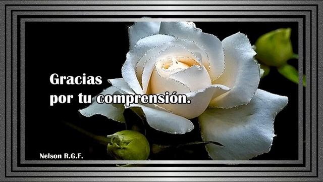 Gracias Amigo/a смотреть онлайн