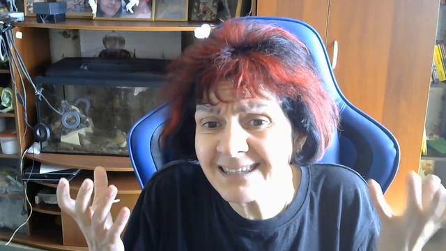 Лекция 20. Вводная по провокациям.