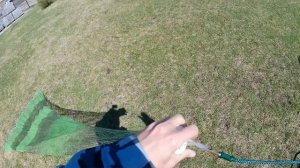 кастинговая сеть ф4,89м, ячейка 25мм, из плетенки 0,3-0,4-0,5мм на нержавеющей цепочке!