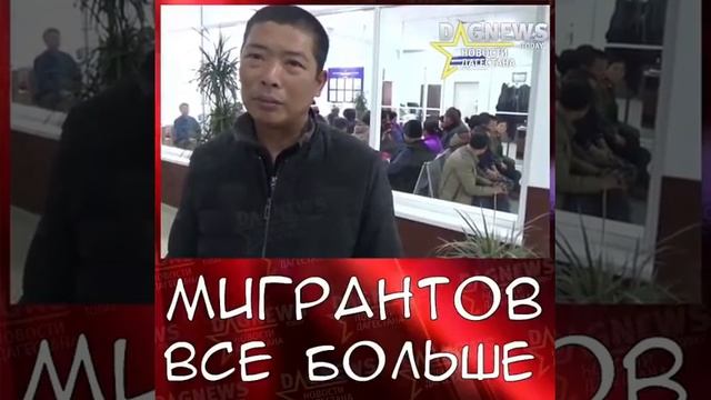 Узбеки и Китайцы в Ногайском районе!!! смотреть онлайн