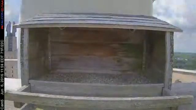 Camera 5 - 06/06/16 смотреть онлайн