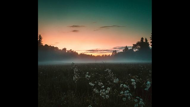 Sunbyonic - Departure from ideal смотреть онлайн