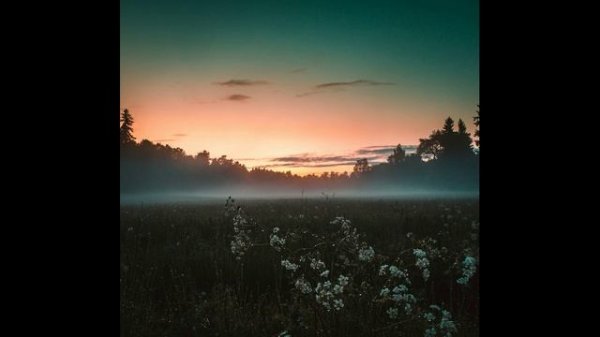 Sunbyonic - Departure from ideal