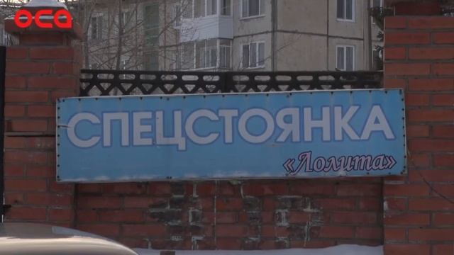 новости телеканала "ОСА" 29.11.17 смотреть онлайн