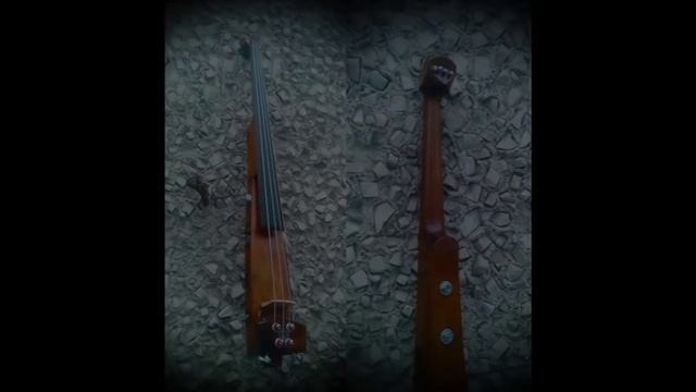 Electric upright bass (демо+обзор инструмента) смотреть онлайн