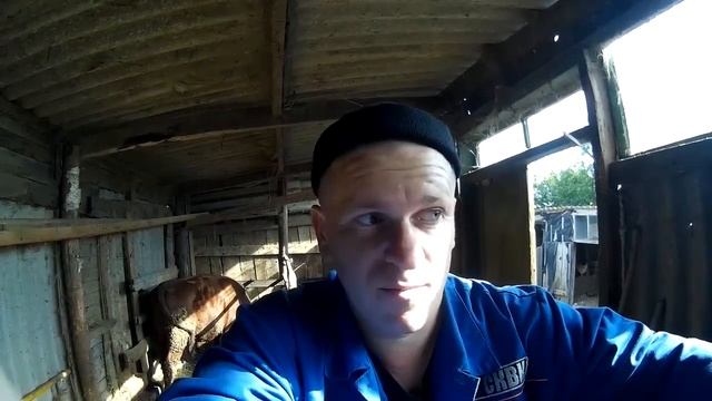 Про крыс смотреть онлайн