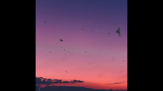 Sunbyonic - Demure смотреть онлайн