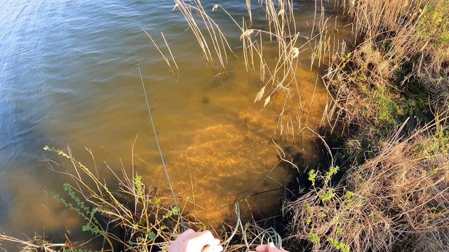 Упоительная рыбалка кастинговой сеткой 6м с большим кольцом удалась. Сетка просто 🔥😁😁😁 смотреть онлайн