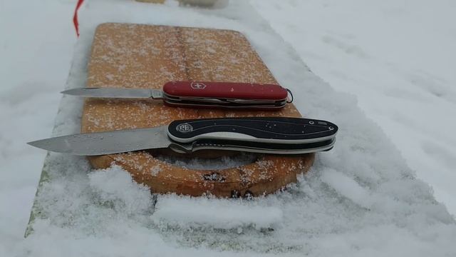 Пингвинчик Petrified Fish PF 858 смотреть онлайн