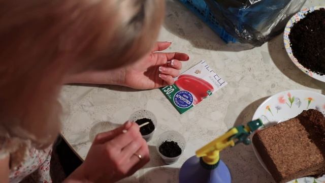 Посадка болгарского перца на рассаду-это ПРОСТО!!! #посадка болгарскогоперца #посадкаперца смотреть онлайн